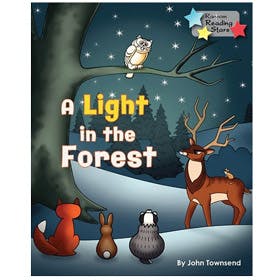A Light in the Forest